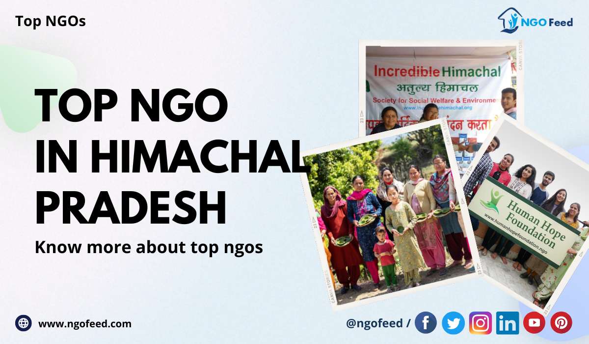 Top NGO in Himachal Pradesh