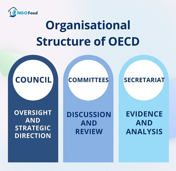 Organisational Structure of OECD--