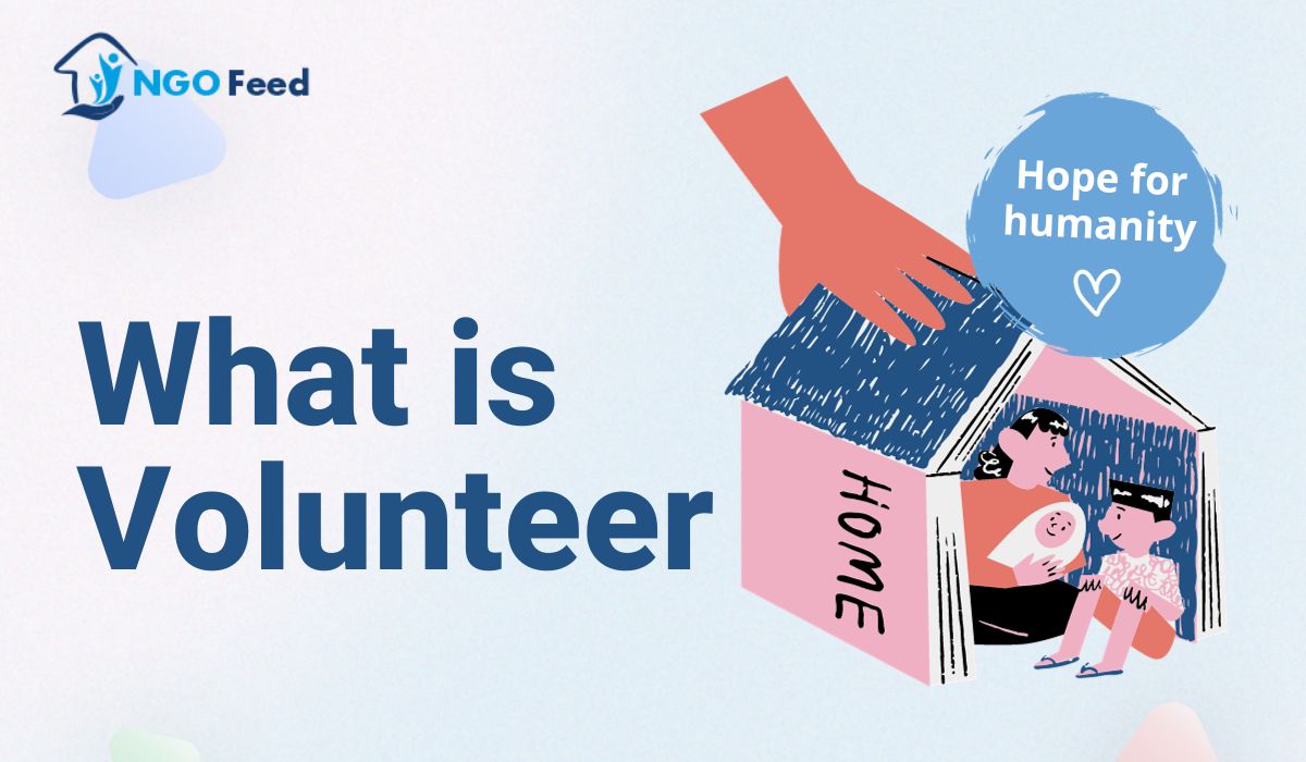 What is Volunteer