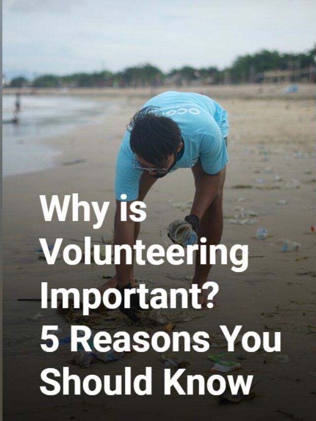 Why is Volunteering Important? 5 Reasons You Should Know