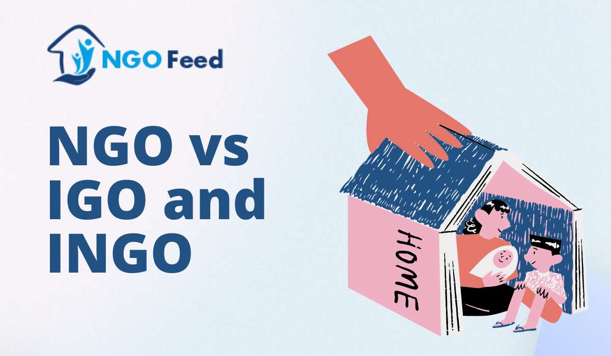 NGO vs IGO and INGO