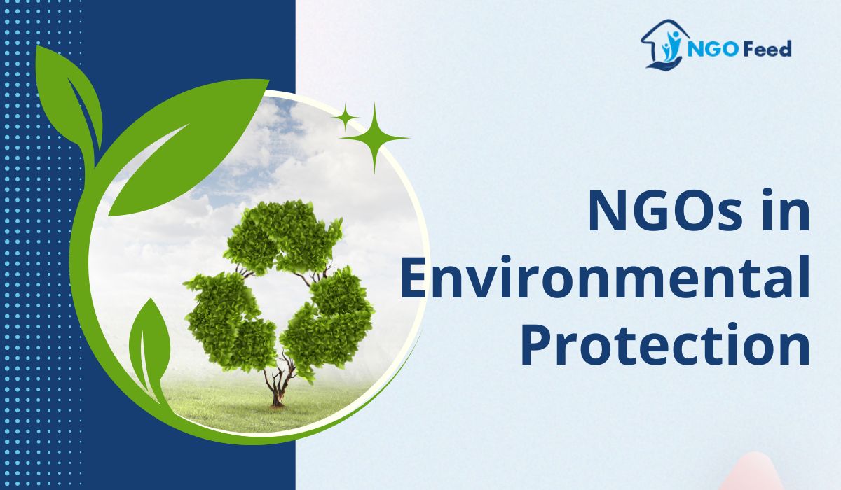 NGOs in Environmental Protection