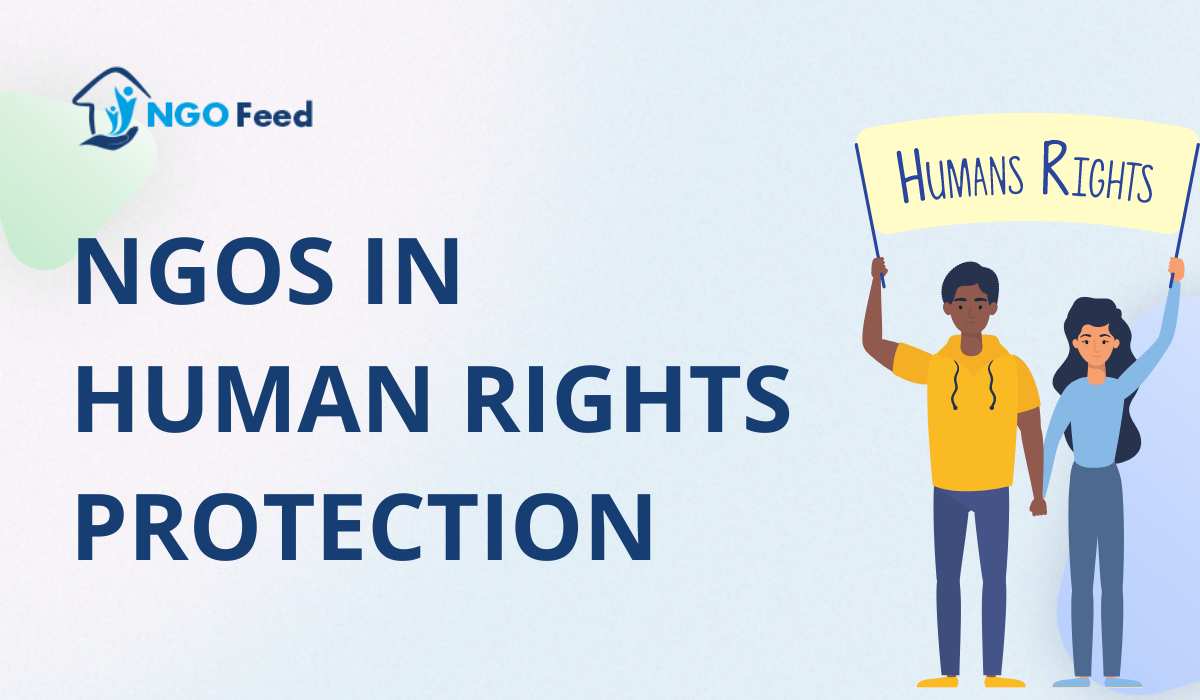 NGOs in Human Rights Protection