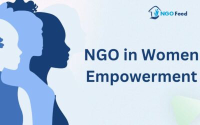 NGO in Women Empowerment: Approaches Adopted by NGOs, Challenges, Importance etc.