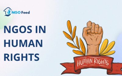 NGO in Human Rights – How NGOs Improve Human Rights; Know Here