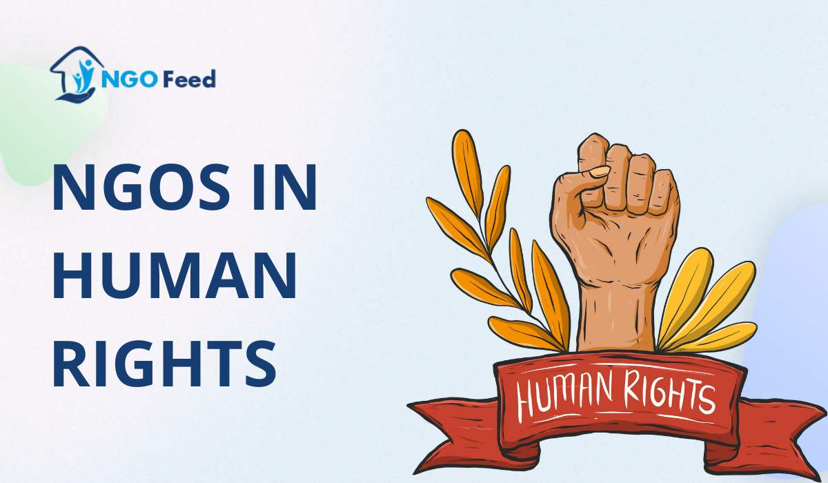NGOs in Human Rights